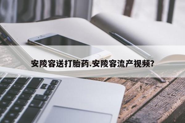 怀孕个月能不能用打胎药安陵容送打胎药.安陵容流产视频？