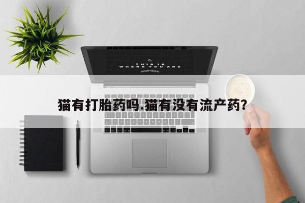 怀孕个月能不能用打胎药猫有打胎药吗.猫有没有流产药？