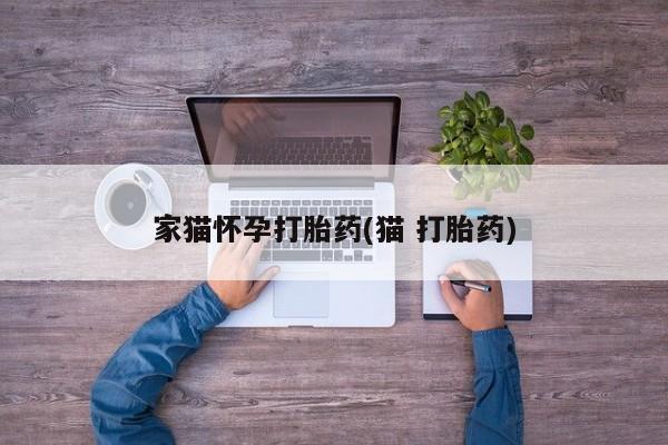 怀孕个月能不能用打胎药家猫怀孕打胎药(猫 打胎药)