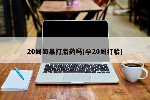 怀孕个月能不能用打胎药20周如果打胎药吗(孕20周打胎)