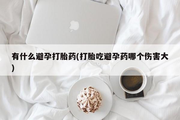 怀孕个月能不能用打胎药有什么避孕打胎药(打胎吃避孕药哪个伤害大)